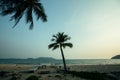 Palm trees on a tropical beach in the beautiful dusk. Travel. Royalty Free Stock Photo