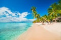 Palm trees on the tropical beach, Dominican Republic, Punta Cana, Saona Island Royalty Free Stock Photo