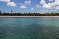 Palm trees on a tropical beach with clouds in the blue sky