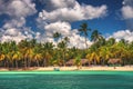 Palm trees on the tropical beach, Saona Island reserve, Dominican Republic Royalty Free Stock Photo