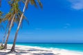 Palm trees on tropical beach and sea background Royalty Free Stock Photo