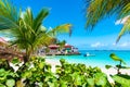 Palm trees on tropical beach, St Barths, Caribbean Island.