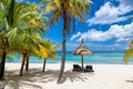 Palm trees in tropical beach and straw umbrellas and tropical sea in Paradise Mauritius island. Royalty Free Stock Photo