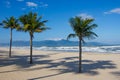 Palm trees on tropical beach Royalty Free Stock Photo