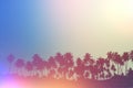 Palm trees on tropical beach, vintage toned Royalty Free Stock Photo