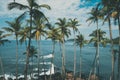 Palm trees on tropical coast above the ocean, vintage toned Royalty Free Stock Photo