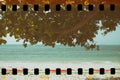 Palm trees at tropical coast, vintage toned Royalty Free Stock Photo