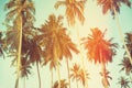 Palm trees at tropical coast, vintage toned Royalty Free Stock Photo