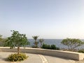 Palm trees and tropical green trees in nature and stone fencing, fence, railings on a mountainside in a sea tropical resort agains