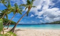 Palm trees on tropical paradise Sunny beach