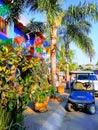 Palm trees and tropical plants golf cart and street in sayulita