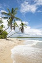 Palm Trees Tropical Remote Brazilian Island Beach Royalty Free Stock Photo