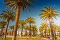 Palm trees in a tropical resort at beautiful sunny day. Image of tropical vacation and sunny happiness. Royalty Free Stock Photo