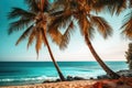 palm trees and turquoise sea on the coast vacation, holidays Royalty Free Stock Photo