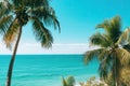 palm trees and turquoise sea on the coast vacation, holidays Royalty Free Stock Photo