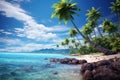 palm trees and turquoise sea on the coast vacation, holidays Royalty Free Stock Photo