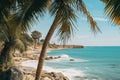 palm trees and turquoise sea on the coast vacation, holidays Royalty Free Stock Photo