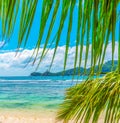 Palm trees and turquoise water in Baie Lazare beach Royalty Free Stock Photo