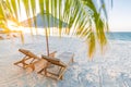 Beautiful tropical beach landscape banner. White sand and coco palms wide panorama background concept. Amazing beach scene Royalty Free Stock Photo