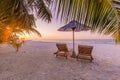 Beautiful tropical beach landscape sunset. White sand and coco palms wide panorama background concept. Amazing beach scene Royalty Free Stock Photo