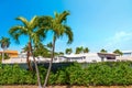 Palm trees under a blue sky in Florida Keys Royalty Free Stock Photo