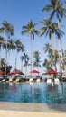 Palm trees under the sun Royalty Free Stock Photo