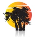 Summer tree palm logo icon vector template Royalty Free Stock Photo