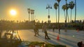 Palm trees at Venice Beach at sunset - LOS ANGELES, UNITED STATES - NOVEMBER 5, 2023 Royalty Free Stock Photo