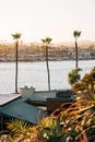 Palm trees and view of Balboa Island from Lookout Point in Corona del Mar, Newport Beach, California