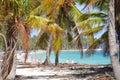 Palm Trees and Caribbean beach Royalty Free Stock Photo