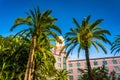 Palm trees and the Vinoy Hotel in Saint Petersburg, Florida. Royalty Free Stock Photo