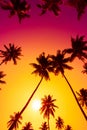 Palm trees at vivid tropical beach sunset Royalty Free Stock Photo