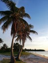 A windy afternoon on a tropical beach Royalty Free Stock Photo