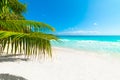 Palm trees and white sand in Anse Lazio beach Royalty Free Stock Photo