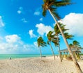 Palm trees and white sand in Sombrero Beach in Florida Keys Royalty Free Stock Photo