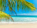 Palm trees, white sand and turquoise water in Anse Lazio beach Royalty Free Stock Photo