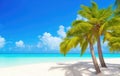 Palm trees on a white sandy beach against the blue sky and the sea Royalty Free Stock Photo