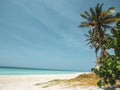 Palm trees and white sandy beach at the sunset in Caribbeans