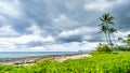 Palm trees in the wind under cloudy sky at the ocean Royalty Free Stock Photo