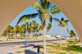 Palm trees from the window Royalty Free Stock Photo