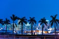Palm trees, yachts and skyscrapers in Miami at night Royalty Free Stock Photo