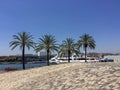 Palm trees and yachts