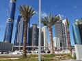 Palm tress appears towers and skyscrapers behind them
