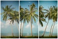 Palm tress on sea shore, vintage stylized