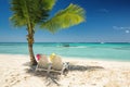 Relaxing on a tropical island beach with sun lounger under coconut palm tree shadow. Paradise vacation in Dominican Republic. Royalty Free Stock Photo
