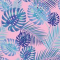 Palm Tropical leaves seamless pattern.