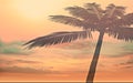 Palm  tropical tree leaves silhouette  on front sunset sky nature landscape concept  background template Royalty Free Stock Photo