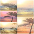 Palm  tropical tree leaves silhouette  on front sunset sky nature landscape concept  background template Royalty Free Stock Photo