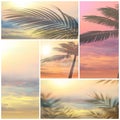 Palm  tropical tree leaves silhouette  on front sunset sky nature landscape concept  background template Royalty Free Stock Photo