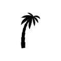 palm tropical tree set icons black silhouette illustration isolated on white Royalty Free Stock Photo